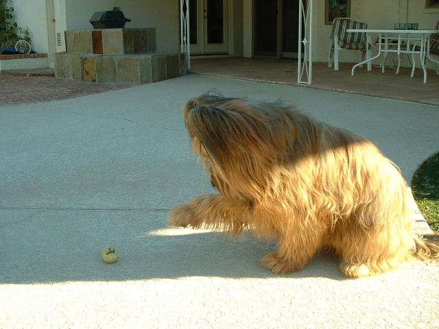 2002_0210_155942AA.jpg