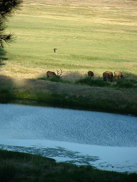 2002_0705_184525AA.jpg