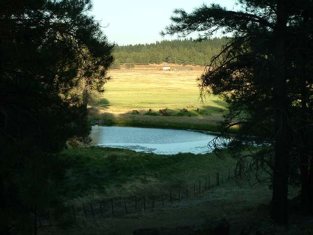 2002_0705_184537AA.jpg