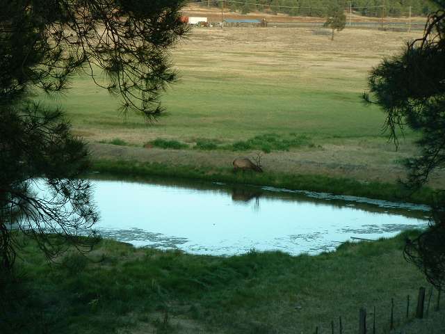 2002_0705_185411AA.jpg