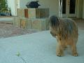 2002_0210_155814AA