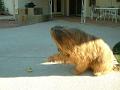 2002_0210_155942AA