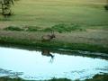 2002_0705_185352AA