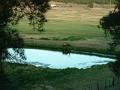 2002_0705_185411AA