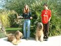 xmas2002_b