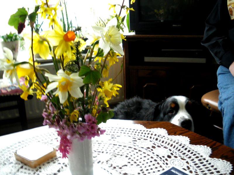2009_0331_044114.JPG