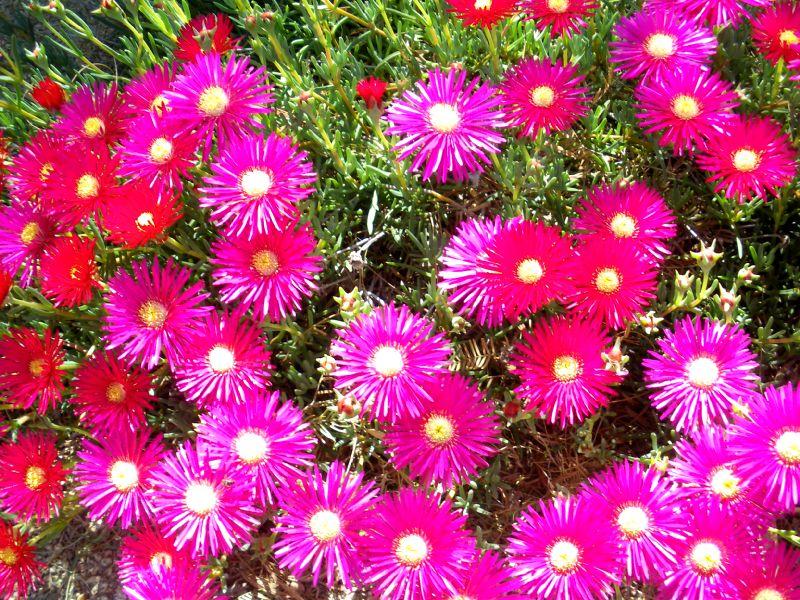 2009_0405_142211.JPG