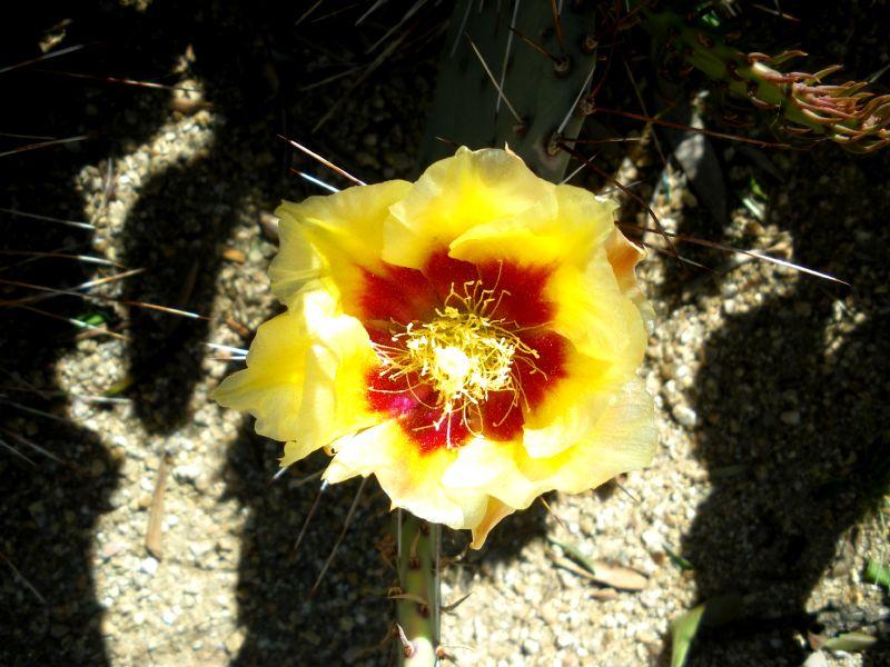 2009_0405_142348.JPG