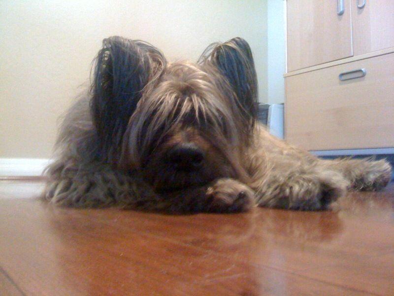 2009_0417_xinco,jpg.jpg