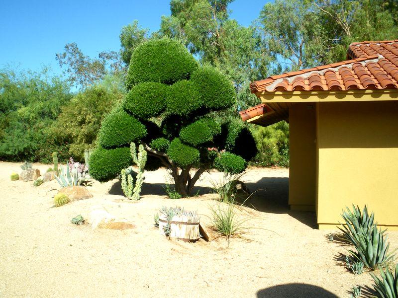 2009_0531_083602.JPG