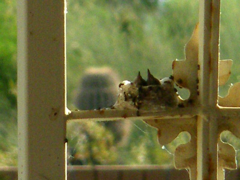 2009_0624_070433.JPG