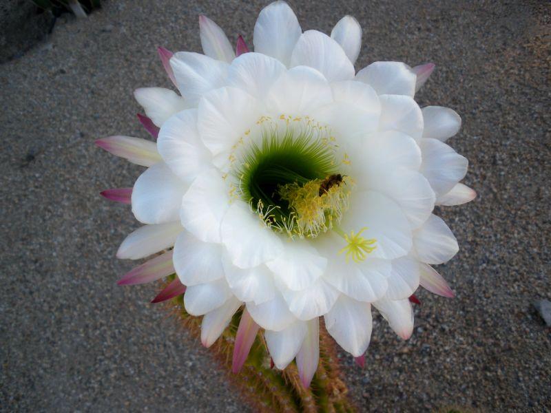 2009_0914_072030.JPG