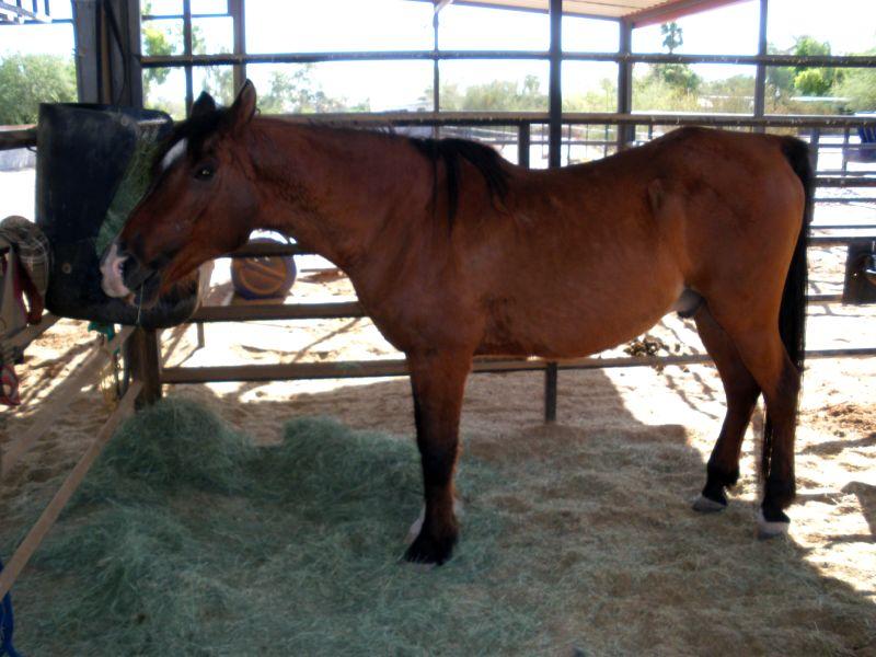 2009_0920_090136.JPG