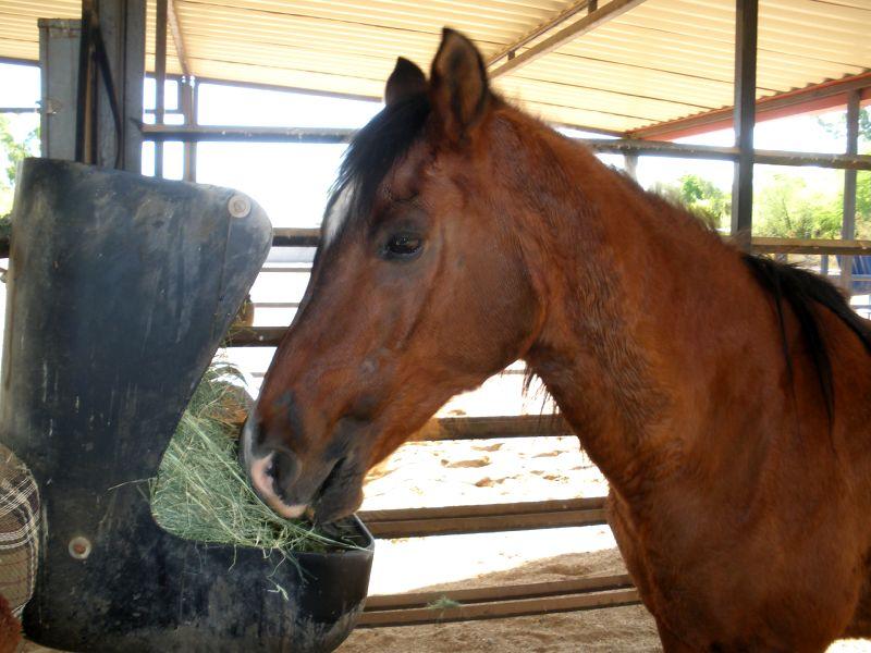 2009_0920_090225.JPG