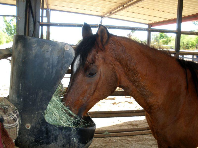 2009_0920_090249.JPG