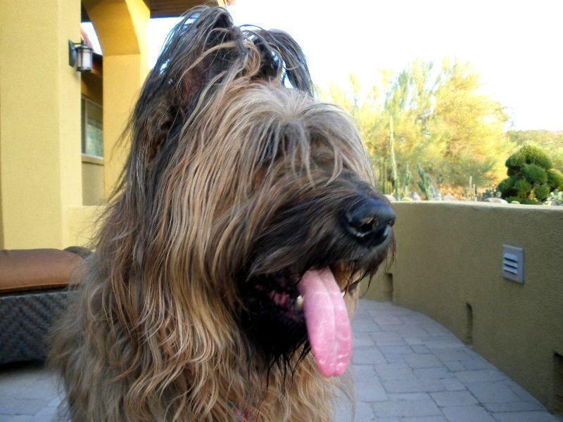 2009_1009_174636.JPG