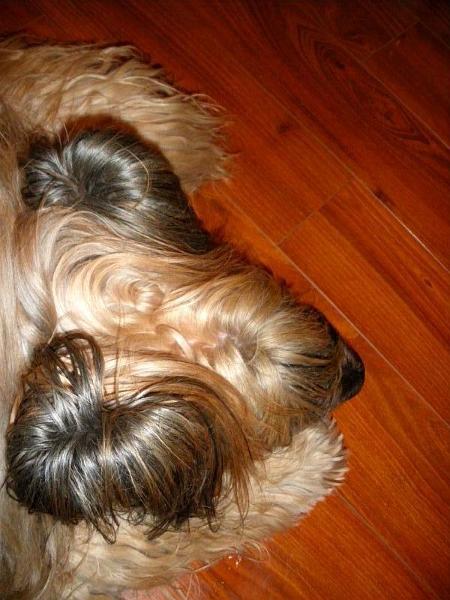 2009_1114_072340.JPG