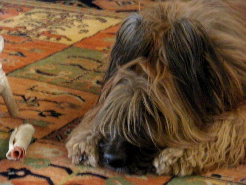 2009_1129_162712.JPG