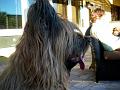 2009_0101_161054