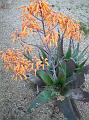 2009_0226_075217