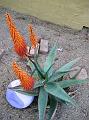 2009_0226_075238