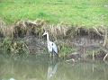 2009_0328_051604