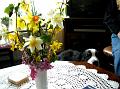 2009_0331_044114