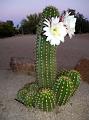 2009_0405_190106