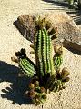 2009_0418_155710