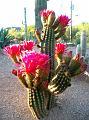 2009_0422_062549