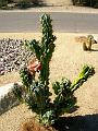 2009_0614_064025