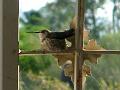 2009_0614_071139