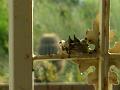 2009_0624_070433