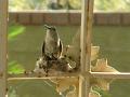 2009_0624_071810