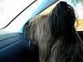 2009_0912_100344