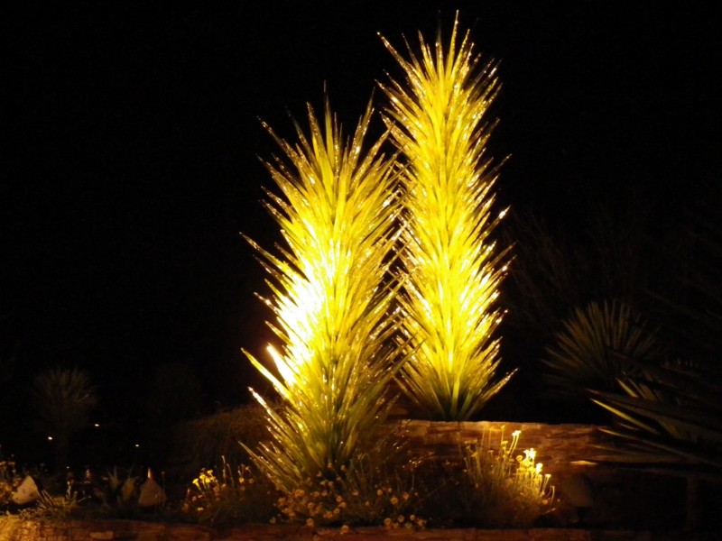 2012_0323_205757.jpg - Desert Botanical Garden, Phoenix AZ