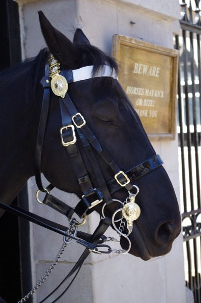 2013_0604_033142.jpg - London Horse Guards