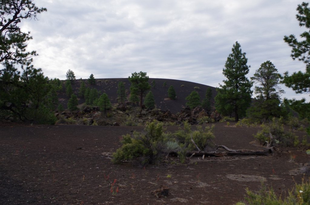 2015_0904_090152.JPG - Sunset Crater Park north of Flagstaff AZ
