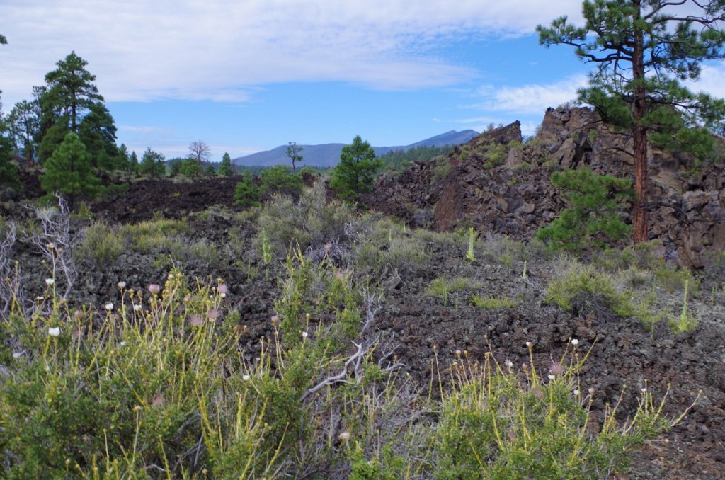 2015_0904_090454.JPG - Sunset Crater Park north of Flagstaff AZ