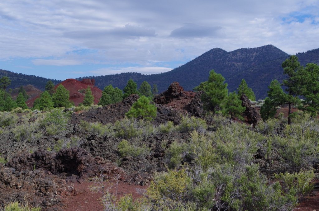 2015_0904_091224.JPG - Sunset Crater Park north of Flagstaff AZ