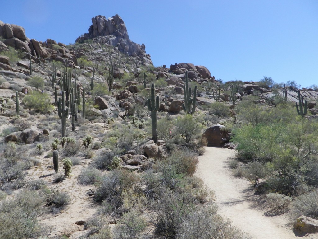 2015_0419_112423.JPG - Pinnacle Peak Trail, Scottsdale, AZ
