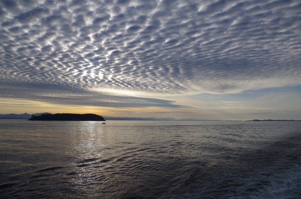 2016_0530_063812.JPG - Cruising the Inside Passage