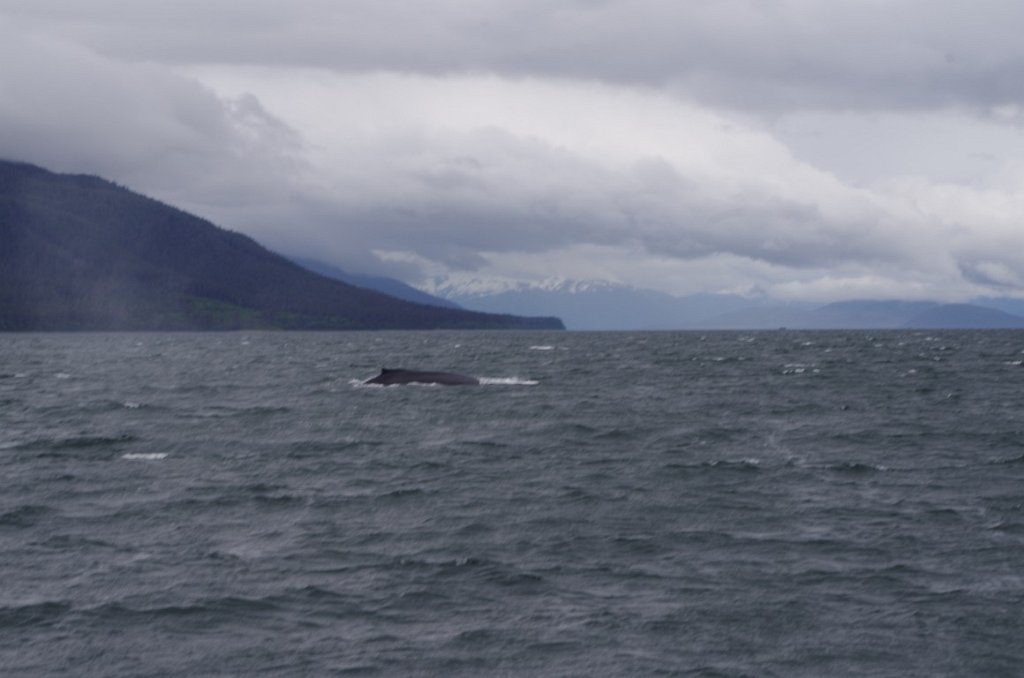 2016_0601_144404.JPG - Juneau AK - Whale watching