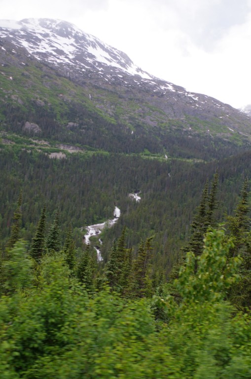 2016_0602_132912.JPG - Skagway AK - White Pass & Yukon Route